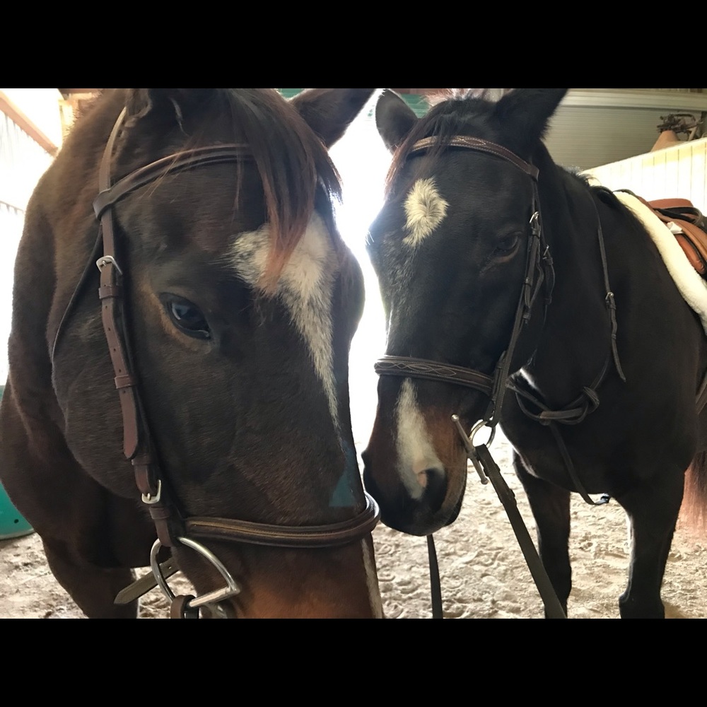 Meet your Posher, Megan